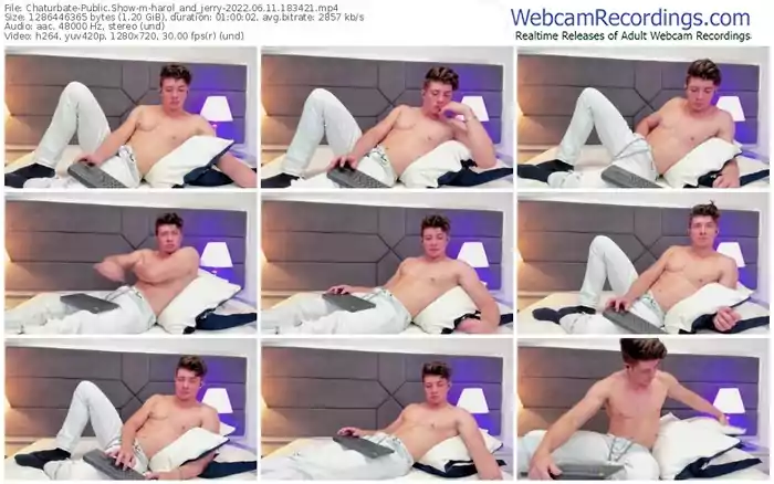 chaturbate-harol_and_jerry-06-11-2022-18-34-21