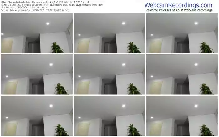 chaturbate-hotfucks_1-06-16-2022-11-57-25