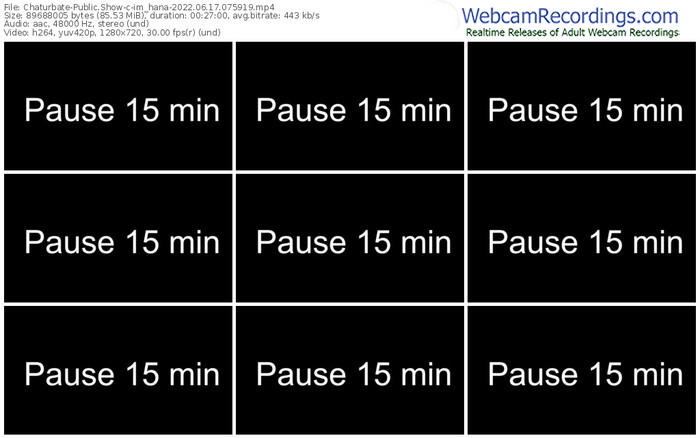 chaturbate-im_hana-06-17-2022-07-59-19