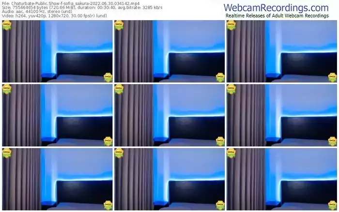 chaturbate-sofia_sakura-06-30-2022-03-41-42