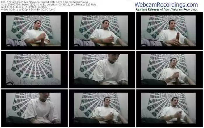 chaturbate-imakedubstep-06-30-2022-04-36-22