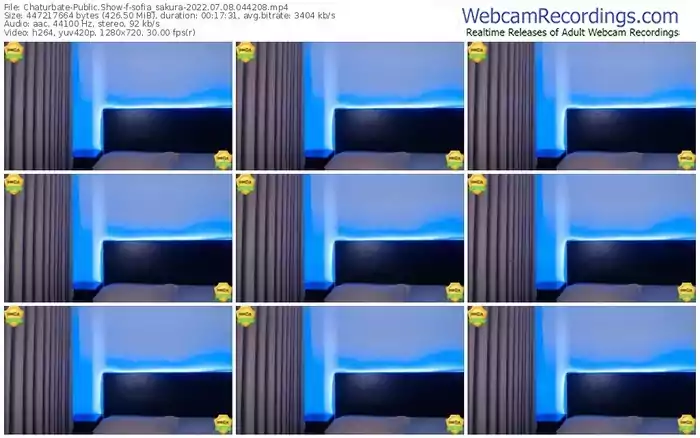 chaturbate-sofia_sakura-07-08-2022-04-42-08