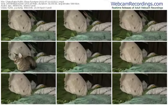 chaturbate-ps4pro-07-10-2022-02-21-11