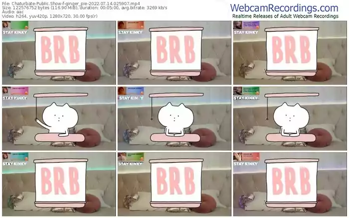 chaturbate-ginger_pie-07-14-2022-02-59-07