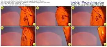 chaturbate-sofia_sakura-07-16-2022-11-20-30