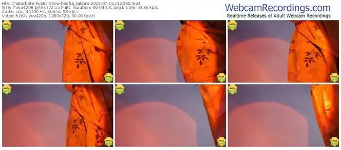 chaturbate-sofia_sakura-07-16-2022-11-20-30