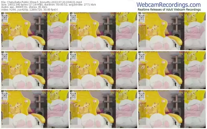 chaturbate-_biscuitty-07-20-2022-03-42-21