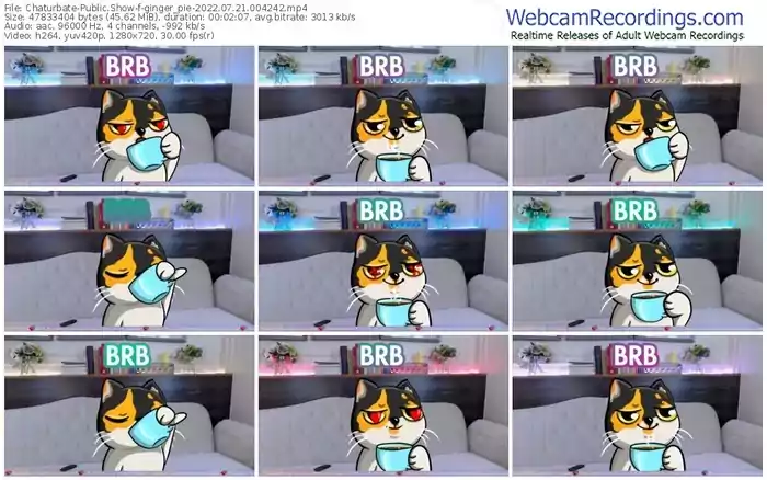 chaturbate-ginger_pie-07-21-2022-00-42-42