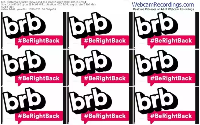 chaturbate-indiana_jones2-08-03-2022-03-56-06