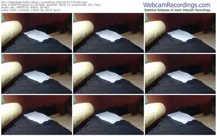 chaturbate-monikfree-08-07-2022-10-19-43