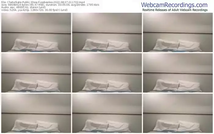 chaturbate-joobeelee-08-07-2022-01-17-02