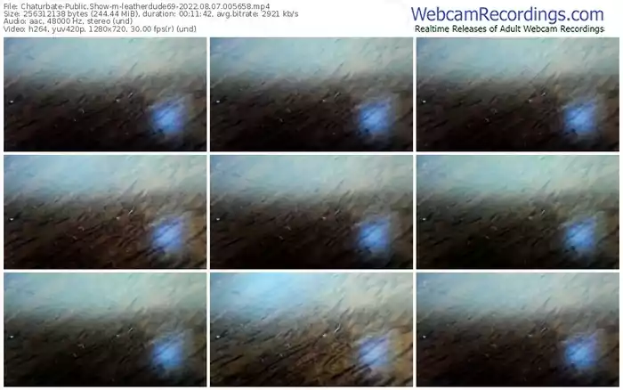 chaturbate-leatherdude69-08-07-2022-00-56-58