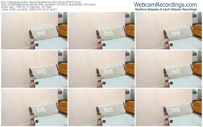 chaturbate-ehotlovea-08-08-2022-23-55-47