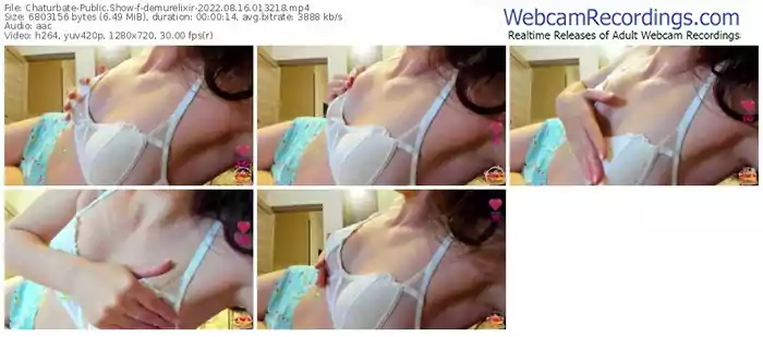 chaturbate-demurelixir-08-16-2022-01-32-18-1