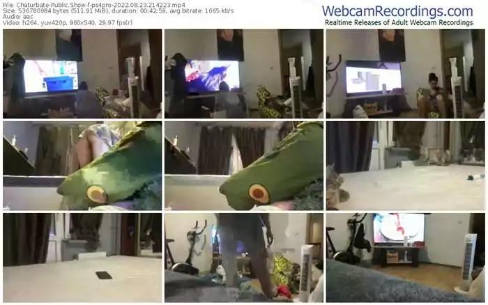 chaturbate-ps4pro-08-23-2022-21-42-23