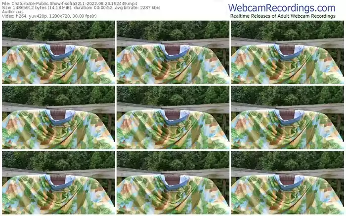 chaturbate-sofia3211-08-26-2022-19-24-49