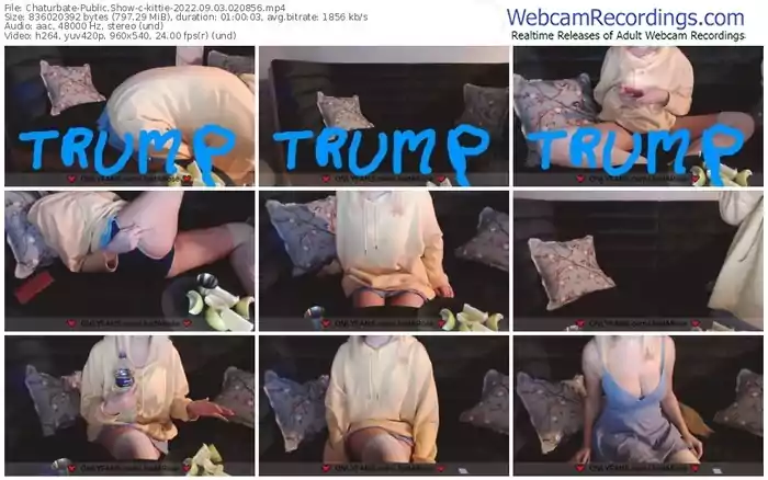 chaturbate-kittie-09-03-2022-02-08-56