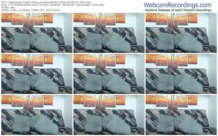 chaturbate-alexandluke-09-08-2022-00-14-47