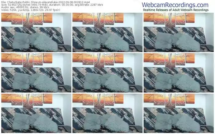 chaturbate-alexandluke-09-08-2022-00-28-12