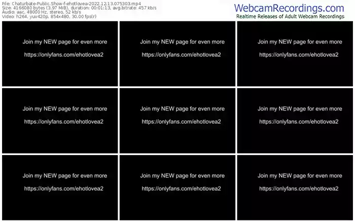 chaturbate-ehotlovea-12-13-2022-07-53-03