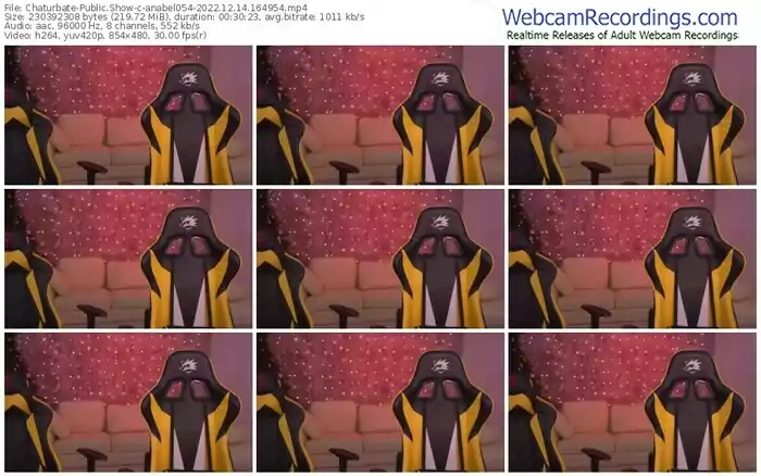 chaturbate-anabel054-12-14-2022-16-49-54