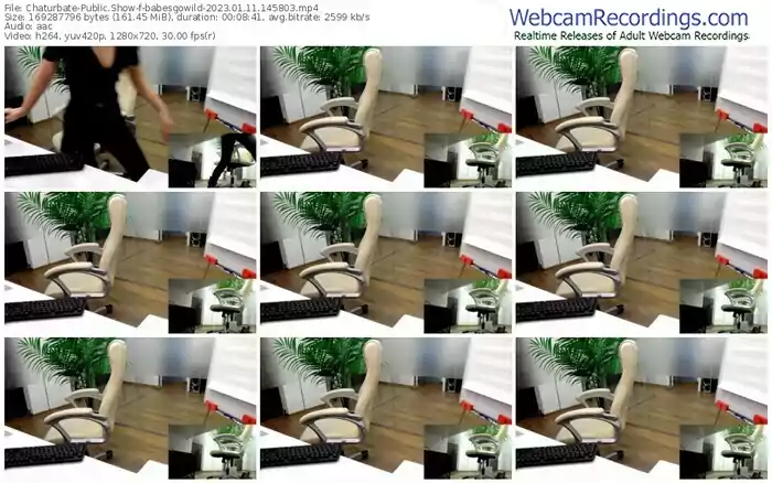 chaturbate-babesgowild-01-11-2023-14-58-03