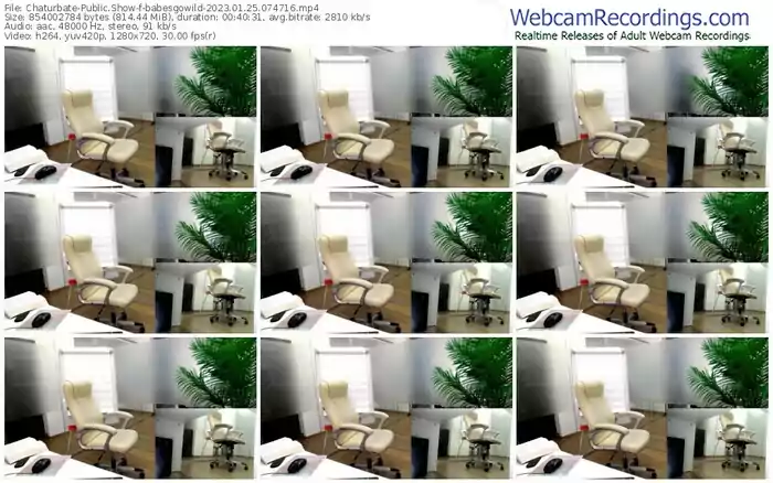 chaturbate-babesgowild-01-25-2023-07-47-16