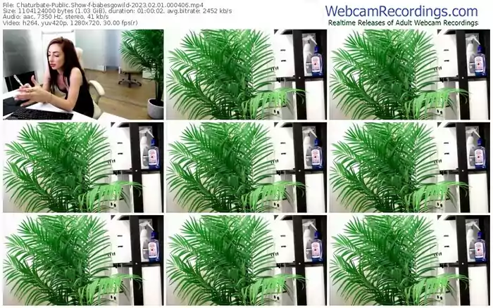 chaturbate-babesgowild-02-01-2023-00-04-06