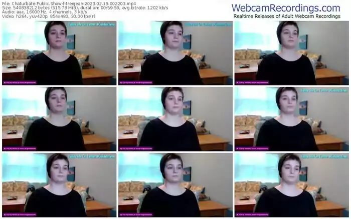 chaturbate-treejean-02-19-2023-00-22-03