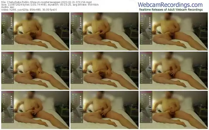 chaturbate-roosterswagger-02-21-2023-07-11-54