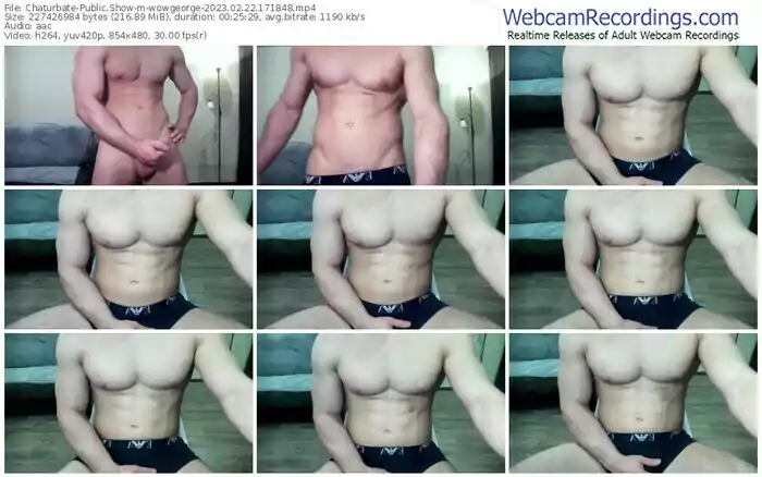 chaturbate-wowgeorge-02-22-2023-17-18-48