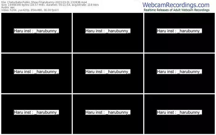 chaturbate-harubunny-03-01-2023-13-28-38