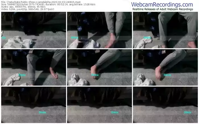 chaturbate-jarodalpha-03-03-2023-14-08-15