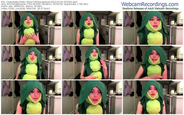 chaturbate-littlesugarpea-03-06-2023-02-20-04