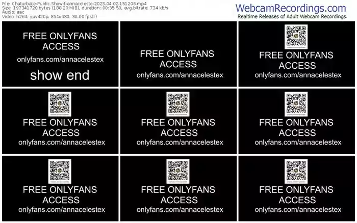 chaturbate-annaceleste-04-02-2023-15-12-06