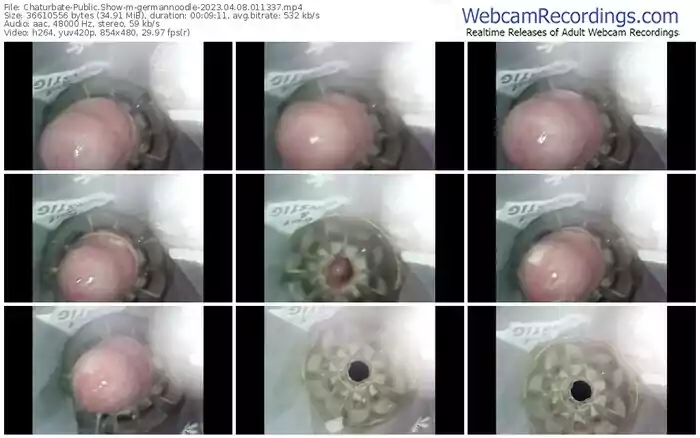 chaturbate-germannoodle-04-08-2023-01-13-37