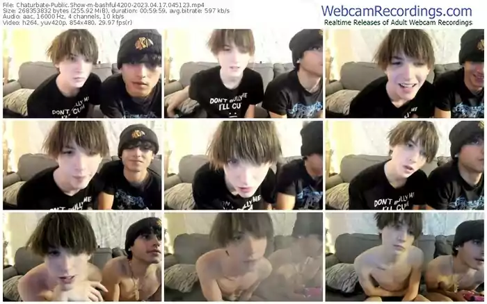 chaturbate-bashful4200-04-17-2023-04-51-23