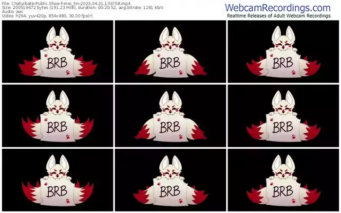 chaturbate-mei_tin-04-21-2023-13-37-58