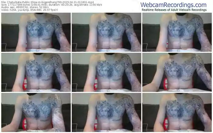 chaturbate-bigandhung799-04-21-2023-01-18-01