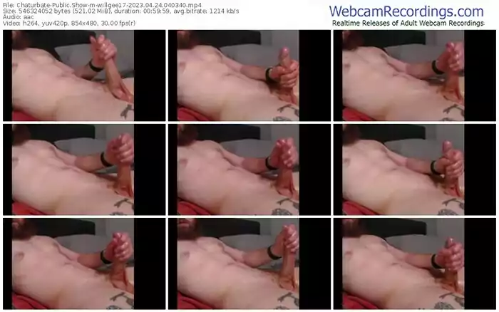 chaturbate-willgee17-04-24-2023-04-03-40