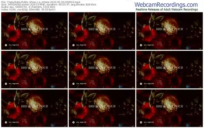 chaturbate-a_mhere-05-30-2023-09-09-03