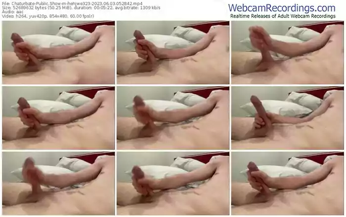 chaturbate-hehjwe323-06-03-2023-05-28-42