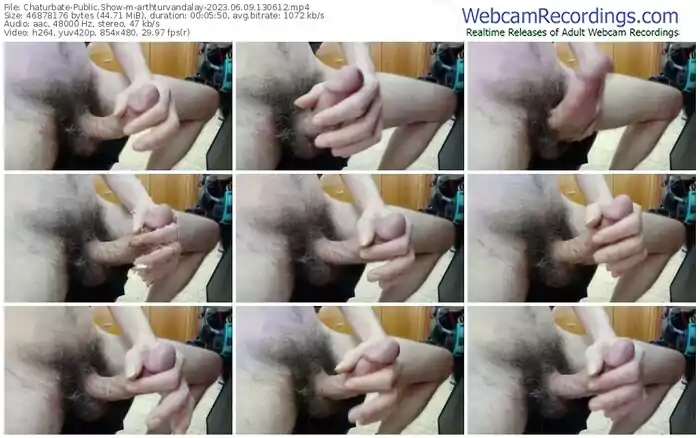 chaturbate-arthturvandalay-06-09-2023-13-06-12