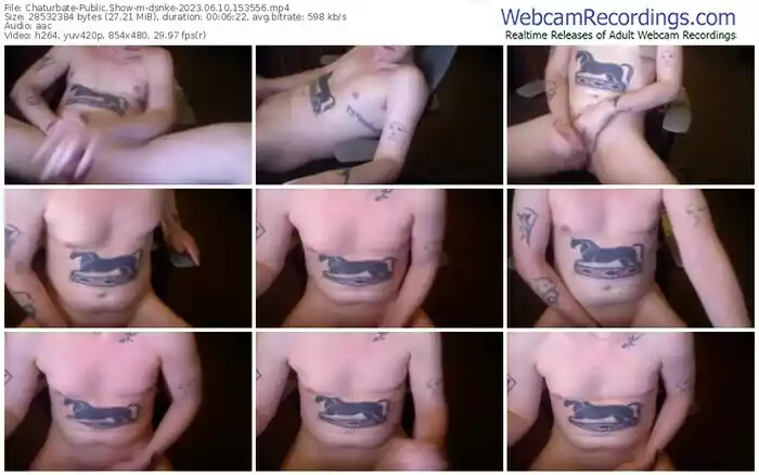 chaturbate-dsnke-06-10-2023-15-35-56