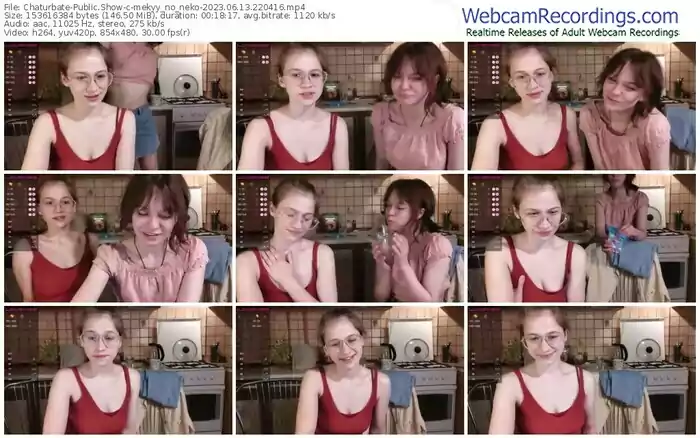 chaturbate-mekyy_no_neko-06-13-2023-22-04-16