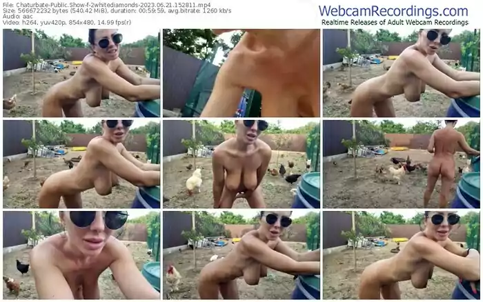 chaturbate-2whitediamonds-06-21-2023-15-28-11