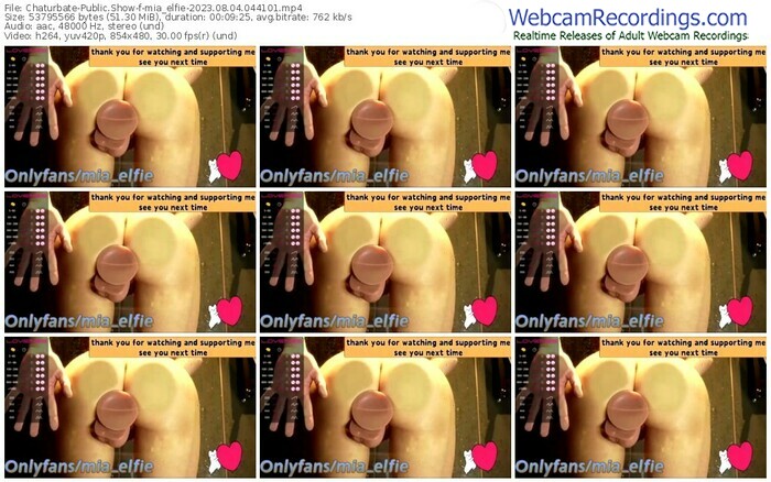chaturbate-mia_elfie-08-04-2023-04-41-01