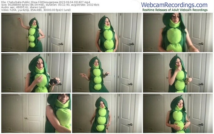 chaturbate-littlesugarpea-09-04-2023-03-18-27