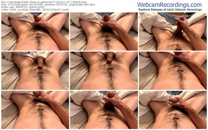 chaturbate-gibson4477-11-07-2023-14-06-33