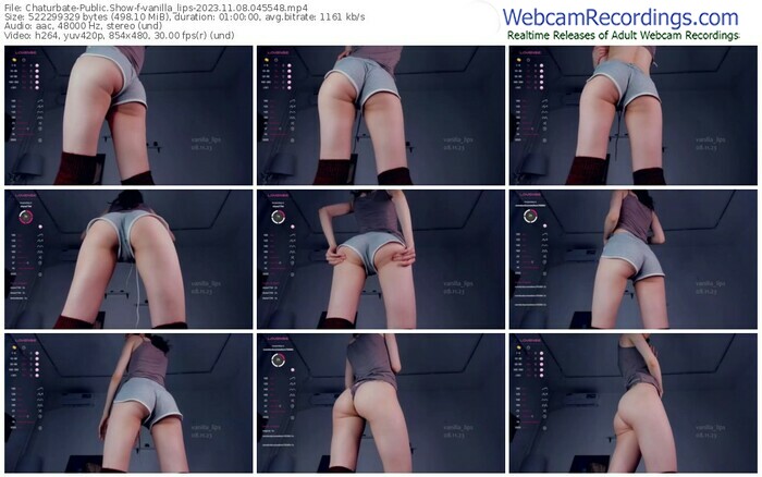 chaturbate-vanilla_lips-11-08-2023-04-55-48